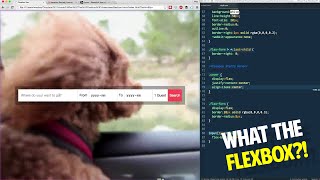 Flexbox single line form
